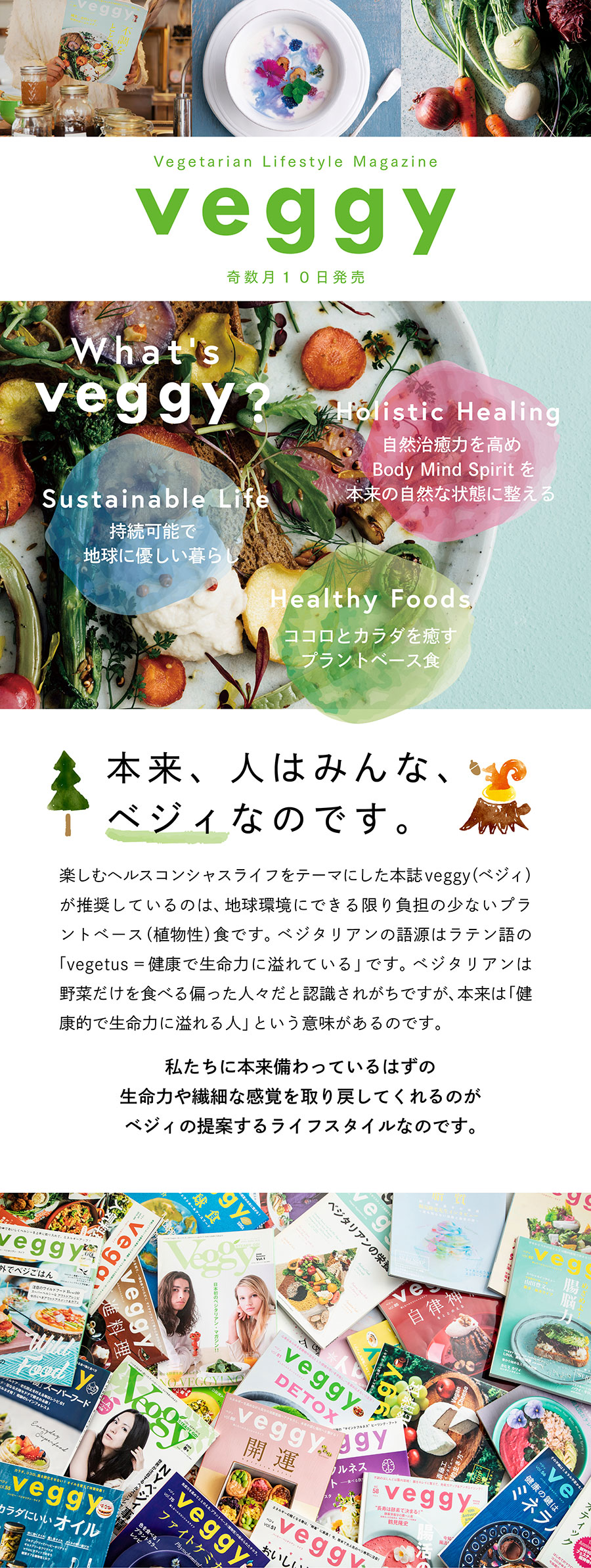 Veggy（ベジィ）の詳細